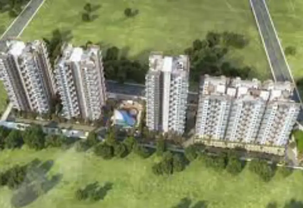 Amit Sereno Phase II